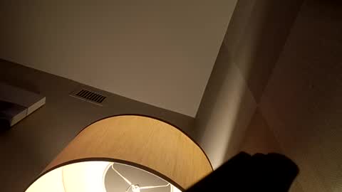 Snapshot of bushdoctor1 chatting on December 2, 2024, 6:09 am bushdoctor1 online show from December 2, 2024, 6:09 am