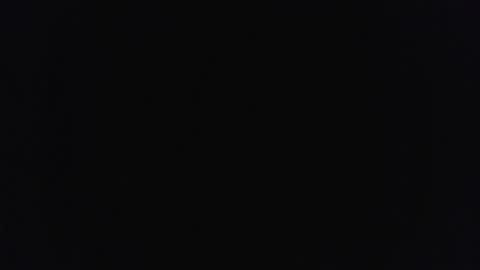 bushhouse21 online show from March 14, 2026, 8:20 am