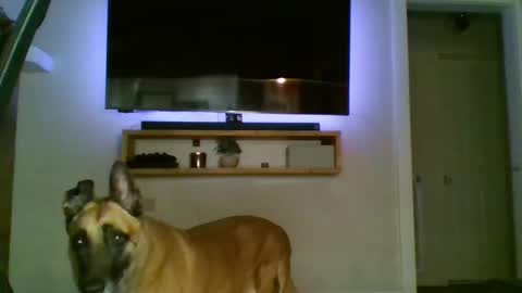 Snapshot of bwc44u chatting on October 2, 2025, 2:07 am bwc44u online show from October 2, 2025, 2:07 am