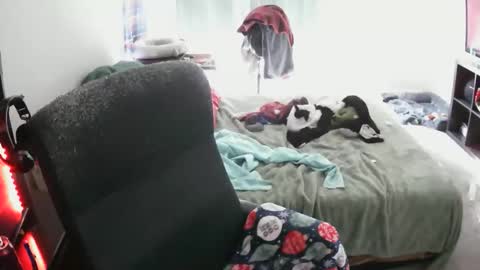 bxbydior online show from December 13, 2025, 7:53 pm