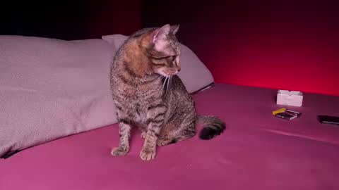 CQ online show from February 24, 2025, 7:44 am