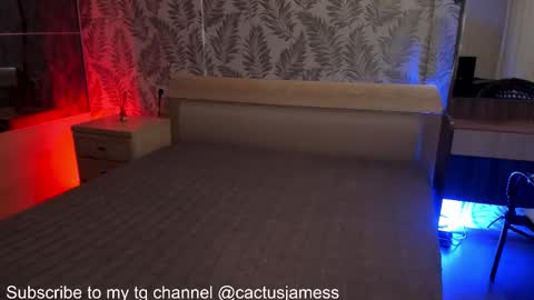 Snapshot of cactusjames_69 chatting on October 23, 2025, 3:00 pm James online show from October 23, 2025, 3:00 pm
