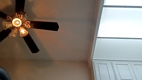 Snapshot of calidickfoshow chatting on December 22, 2024, 2:49 am Hugh joh Meathammer online show from December 22, 2024, 2:49 am