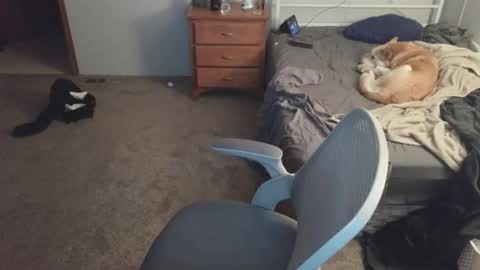 longjohn74 online show from April 30, 2026, 3:35 am