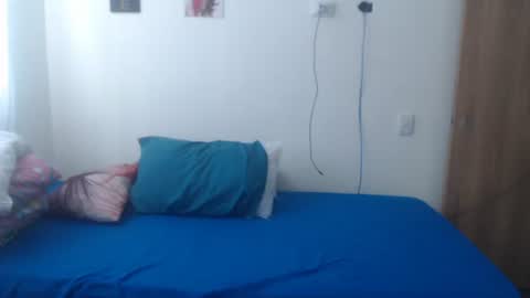 Snapshot of camila_rouswhyth chatting on December 5, 2025, 2:36 pm camila_rouswhyth online show from December 5, 2025, 2:36 pm