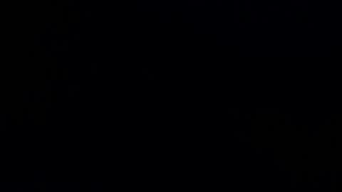 camilio96 online show from January 4, 2025, 3:40 am