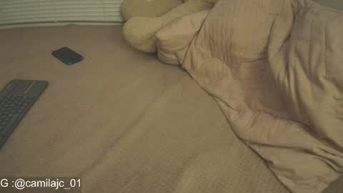 Snapshot of cammile_cole chatting on April 21, 2026, 4:34 pm Laura Camila online show from April 21, 2026, 4:34 pm