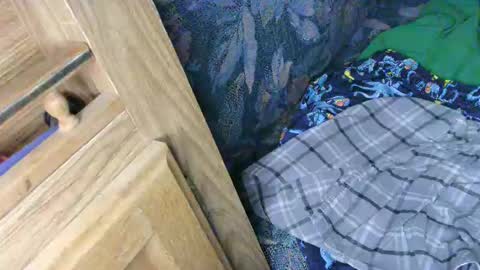 Snapshot of cancer7777 chatting on February 13, 2025, 2:56 am 7777 online show from February 13, 2025, 2:56 am