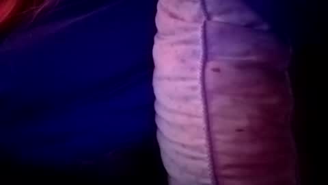 Snapshot of candismiths chatting on November 16, 2025, 2:06 am Candi online show from November 16, 2025, 2:06 am