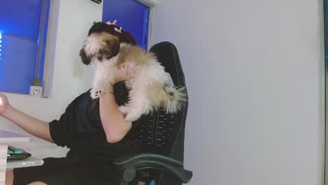 candy_giuliana21 online show from April 17, 2026, 12:02 am