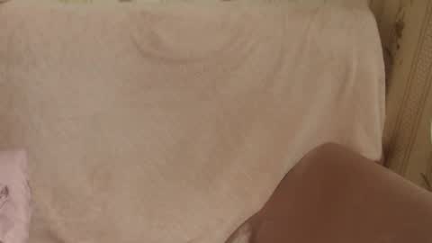 say meow and send tips  online show from February 18, 2026, 1:07 pm