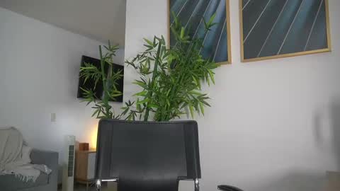 Snapshot of canelasungirl chatting on September 10, 2025, 7:36 pm Jency NEW IG IMCANELA online show from September 10, 2025, 7:36 pm