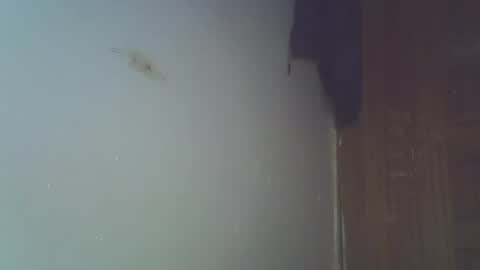 Snapshot of capt_ain chatting on June 22, 2026, 3:08 am Captain online show from June 22, 2026, 3:08 am