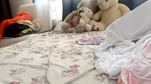 LILI online show from June 23, 2026, 12:47 pm