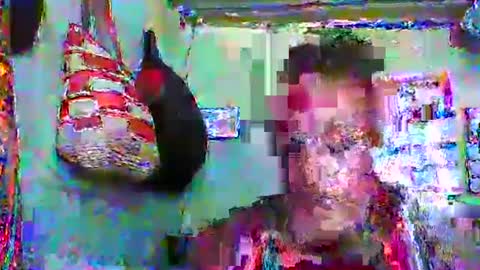 carinesexy69 online show from January 20, 2025, 10:40 am