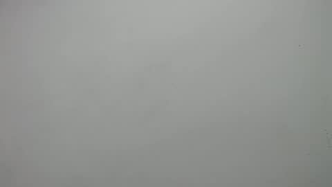 carla online show from February 19, 2025, 3:05 pm