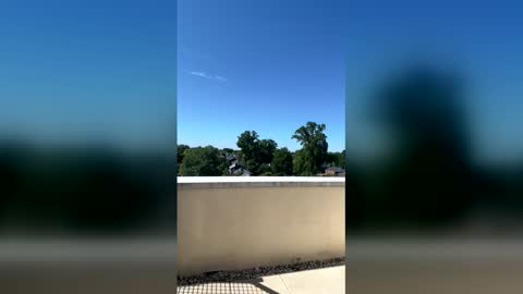 Snapshot of carmencash_ chatting on May 29, 2026, 2:15 pm Carmen Cash online show from May 29, 2026, 2:15 pm