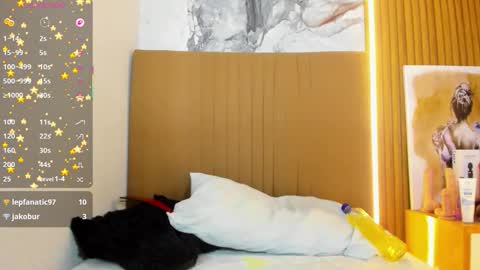 OSNA online show from March 21, 2026, 8:19 am