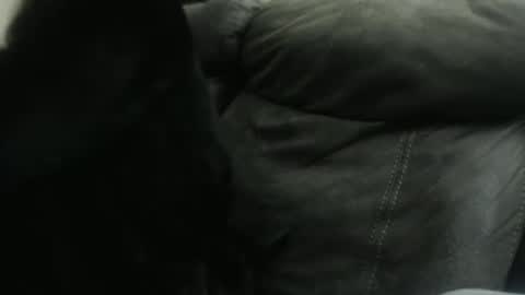 casidy1 online show from January 23, 2025, 10:32 am