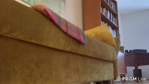 casperdavidfriedrich online show from February 14, 2026, 3:53 pm