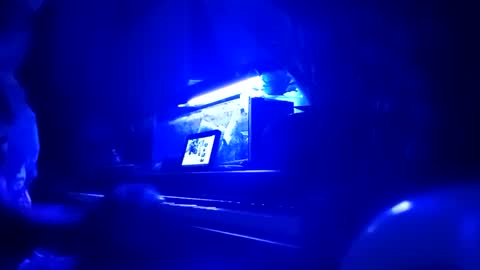 cassandra1369 online show from September 25, 2025, 12:03 am