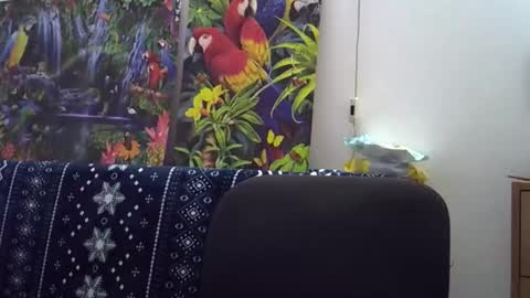 Cassandra online show from December 5, 2025, 1:42 pm