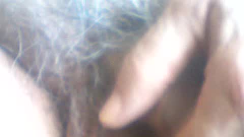 castells online show from July 7, 2026, 2:43 pm