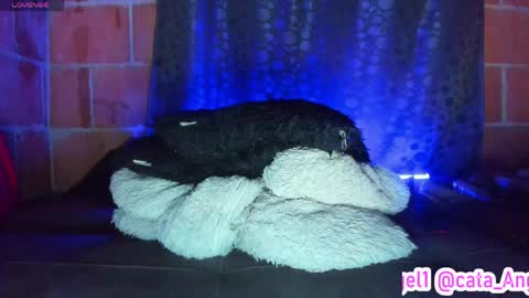 Snapshot of cata_angel1 chatting on April 28, 2026, 12:09 am Cata Angel online show from April 28, 2026, 12:09 am