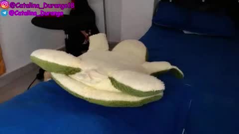 Snapshot of catalina_durango18 chatting on November 22, 2025, 9:36 pm Catalina Durango online show from November 22, 2025, 9:36 pm