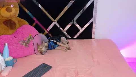 Catalina  online show from March 10, 2026, 10:15 pm