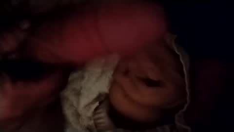 Snapshot of catdaddy179057 chatting on February 24, 2026, 11:30 am catdaddy179057 online show from February 24, 2026, 11:30 am