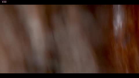 catolinanight online show from March 21, 2026, 8:19 am