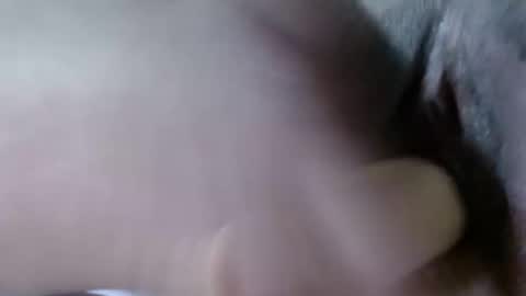 Snapshot of cattleya1618 chatting on December 21, 2024, 8:18 am cattleya online show from December 21, 2024, 8:18 am