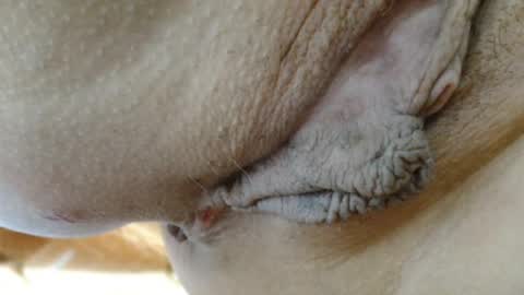 ANNYANNY online show from March 24, 2026, 5:51 pm