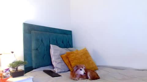 Cedrixx10 online show from February 28, 2026, 10:00 pm