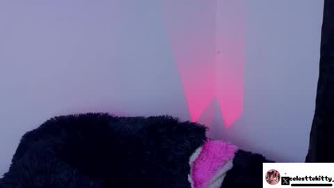 celestte_evans_1 online show from February 8, 2026, 6:17 am