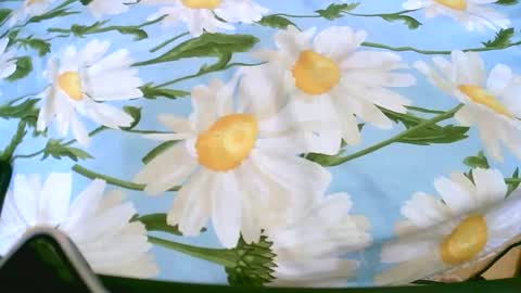 cerminah online show from November 19, 2025, 1:11 pm