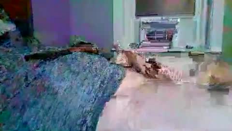 cervixpainter27 online show from November 3, 2025, 1:40 am