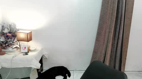 chakadal_xx online show from November 20, 2025, 6:46 am