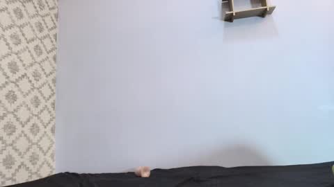 Snapshot of chantal_taylor_ chatting on March 10, 2025, 3:09 pm Raquel  online show from March 10, 2025, 3:09 pm