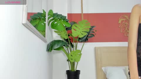 C H A R L O T E online show from March 1, 2026, 2:13 am