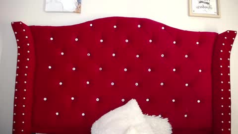 charlotte1_ls online show from February 16, 2025, 4:42 pm