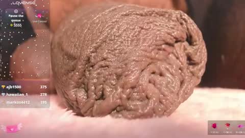 Char online show from March 10, 2025, 1:01 am