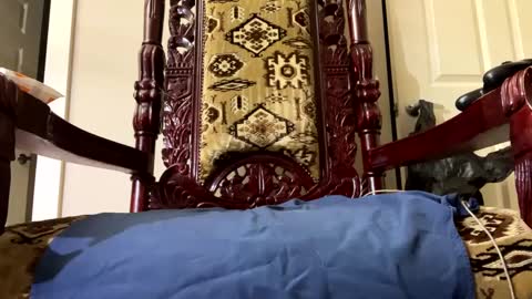 Snapshot of chco_taco chatting on January 3, 2025, 5:50 am Charlyhustle online show from January 3, 2025, 5:50 am