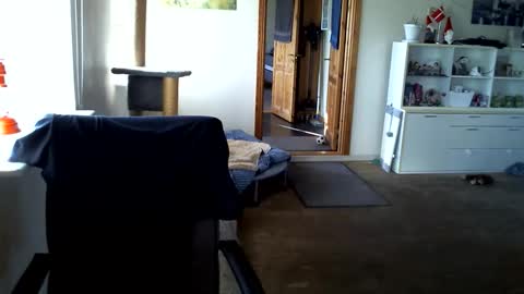 chefben666 online show from March 31, 2026, 3:56 pm