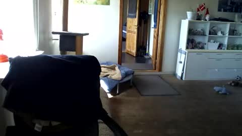 chefben666 online show from April 12, 2026, 9:25 am