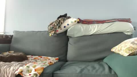 Chelsea online show from December 27, 2024, 7:35 pm