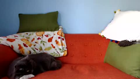 Chelsea online show from September 23, 2025, 1:25 pm