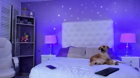 Snapshot of cherry_sussan chatting on February 1, 2025, 4:24 am Sussan Cherry online show from February 1, 2025, 4:24 am