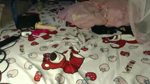 Cherry online show from April 17, 2026, 4:54 pm